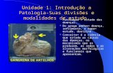 Unidade 1: Introdução a Patologia-Suas divisões e modalidades de estudo.