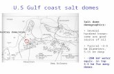 U.S Gulf coast salt domes
