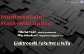 Multimedijalni Flash-Wiki dodaci