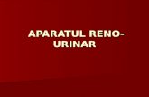 APARATUL RENO-URINAR