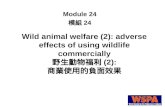 Wild animal welfare (2): adverse effects of using wildlife commercially 野生動物福利 (2): 商業使用的負面效果