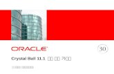 Crystal Ball 11.1  데모 설치 가이드