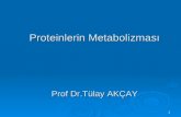 Proteinlerin Metabolizması Prof  Dr.Tülay  AKÇAY
