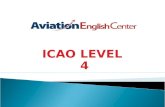 ICAO LEVEL 4