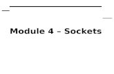 Module 4 – Sockets
