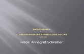 Impressionen zum 2. Brandenburger Nephrologie Kolleg 7.– 8.  J uni 2012