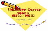 WEB 服务、 DNS 服务