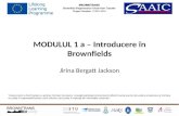 MODULUL 1 a –  Introducere în Brownfields