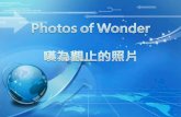 Photos of Wonder 嘆為觀止的照片