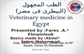 الطب المجهول  (البيطرى فى مصر) Veterinary medicine in Egypt