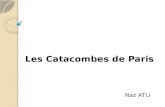 Les Catacombes  de Paris