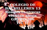COLEGIO DE BACHILLERES  13 Rosales contreras  cristian alexis GRUPO:206 TIC  II