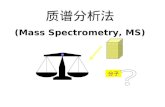 质谱分析法 (Mass Spectrometry, MS)