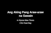 Ang Aking Pang Araw-araw  na Gawain
