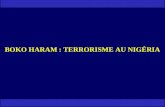 BOKO HARAM : TERRORISME AU NIGÉRIA