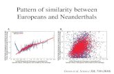 Pattern of similarity between Europeans and Neanderthals