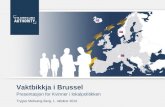 Vaktbikkja i Brussel Presentasjon for Kvinner i lokalpolitikken