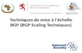 Techniques de mise à l'échelle BGP (BGP Scaling Techniques)