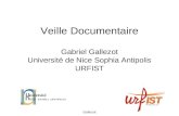 Veille Documentaire Gabriel Gallezot Université de Nice Sophia Antipolis URFIST