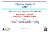 Algebraic Multigrid AMG