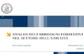 ANALISI DEI FABBISOGNI FORMATIVI  NEL SETTORE DELL’EDILIZIA Prof.Guido Capaldo Alessandra Izzo