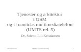 Tjenester og arkitektur  i GSM  og i framtidas multimediatelefoni (UMTS rel. 5)
