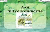 Algi mikroorganiczne