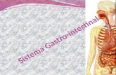 Sistema  Gastro -intestinal