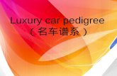 Luxury car pedigree （名车谱系）