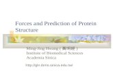 Forces and Prediction of Protein Structure