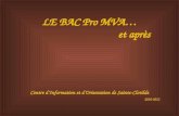 LE BAC Pro MVA… et après Centre d’Information et d’Orientation de Sainte-Clotilde 2010-2011