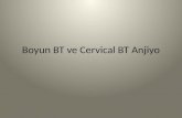 Boyun BT ve  Cervical  BT Anjiyo