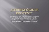 „Geringfügiger Protest“