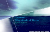 Tsunami:  Magnitude of Terror