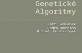 Genetické Algoritmy