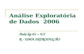 Análise Exploratória de Dados  2006