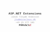 ASP.NET Extensions