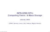 INFN-GRID-WP4: Computing Fabric  & Mass Storage Attivita’ 2003