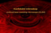 Konfokální mikroskop  confocal laser scanning microscope (CLSM)
