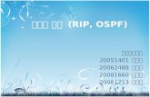 라우팅 기술  (RIP, OSPF)