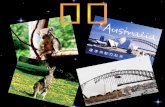 目的 澳洲 (1) 澳洲 (2) 澳洲的地勢 澳洲的季節和氣候  樹熊 袋鼠 澳洲的美食 (1) 澳洲的美食 (2) 澳洲的景點 感想 參考網址