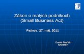 Zákon o malých podnikoch ( Small Business Act )