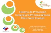 Sistema de Protección Integral a la Primera Infancia Chile Crece Contigo