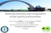 Bacterial diversity and composition in the  marine environment