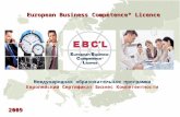 Международная образовательная программа Европейский Сертификат Бизнес Компетентности