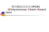 聚合酶链式反应 (PCR)    ( P olymerase  C hain  R eaction)