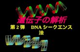 遺伝子の解析 第 2 弾　 DNA シークエンス法