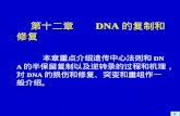 第十二章 DNA 的复制和修复 本章重点介绍遗传中心法则和 DNA 的半保留复制以及逆转录的过程和机理，对 DNA 的损伤和修复、突变和重组作一般介绍。