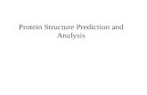 Protein  Structure Prediction and Analysis