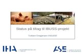 Status på tiltag til IBUSS-projekt Torben Gregersen IHA/ASE